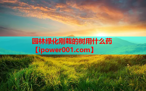 园林绿化刚栽的树用什么药